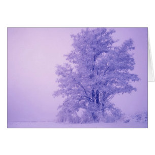 USA, Washington, Spokane County, Frosted