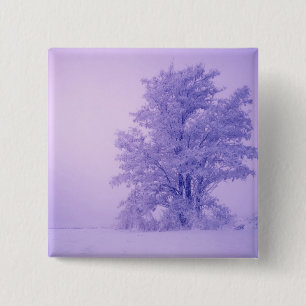USA, Washington, Spokane County, Frosted 15 Cm Square Badge