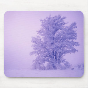 USA, Washington, Spokane County, Frosted Mouse Pad