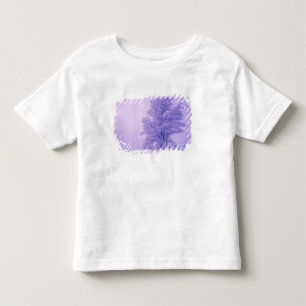 USA, Washington, Spokane County, Frosted Toddler T-Shirt