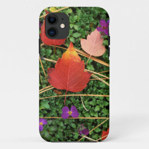 USA, Washington, Spokane County, Hawthorn Leaves 3 iPhone 11 Case