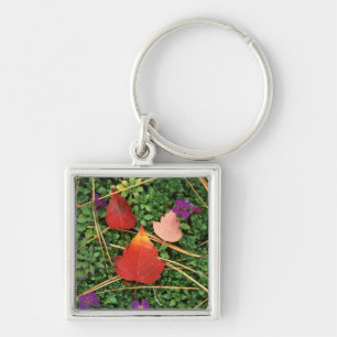 USA, Washington, Spokane County, Hawthorn Leaves 3 Key Ring