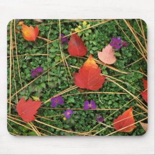 USA, Washington, Spokane County, Hawthorn Leaves 3 Mouse Pad