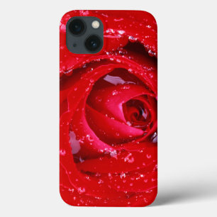 USA, Washington, Spokane County, Manito Park iPhone 13 Case
