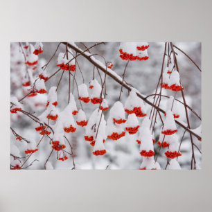 USA, Washington, Spokane County Poster