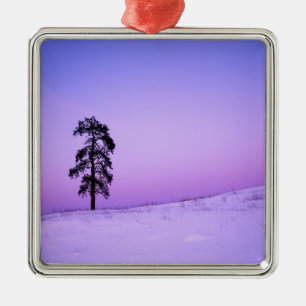 USA, Washington, Spokane County, Riverside Metal Tree Decoration