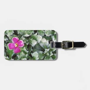 USA, Washington, Spokane County, Rockress Luggage Tag