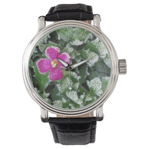 USA, Washington, Spokane County, Rockress Watch