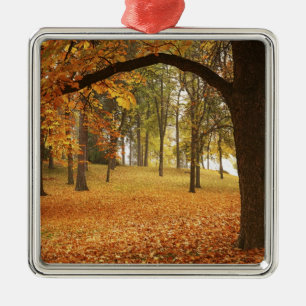 USA, Washington, Spokane, Manito Park, Autumn 2 Metal Ornament
