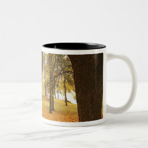 USA, Washington, Spokane, Manito Park, Autumn 2 Two-Tone Coffee Mug