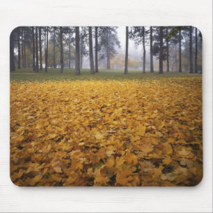 USA, Washington, Spokane, Manito Park, Autumn Mouse Pad