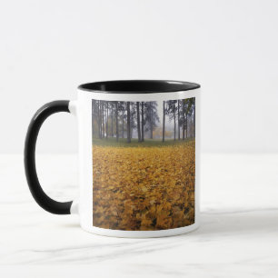 USA, Washington, Spokane, Manito Park, Autumn Mug