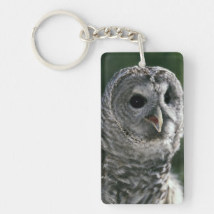 USA, Washington State. Barred Owl (Strix varia) Key Ring