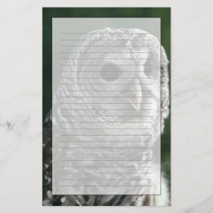 USA, Washington State. Barred Owl (Strix varia) Stationery