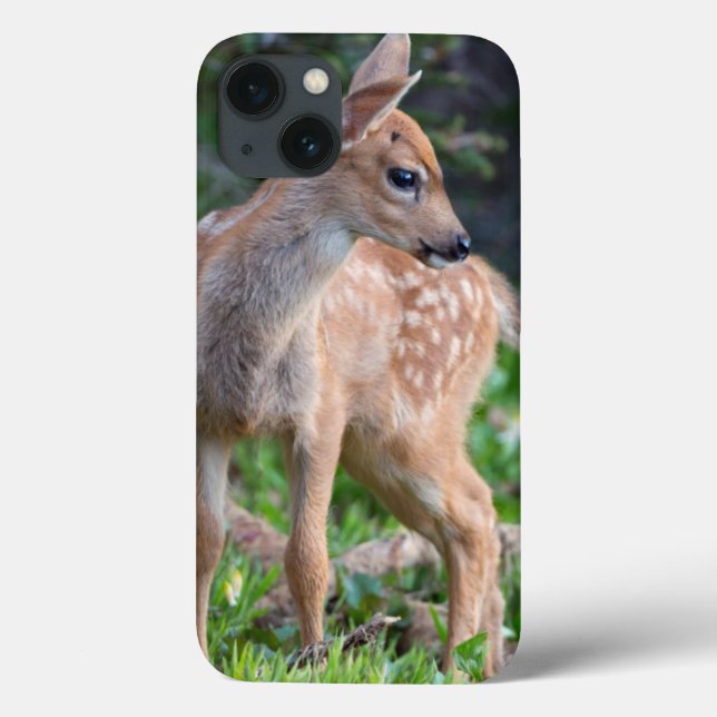 USA, Washington State. Blacktail Deer Fawn Case-Mate iPhone Case (Back)