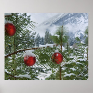 USA, Washington State, Chelan County Poster