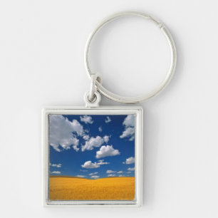 USA, Washington State, Colfax. Ripe barley meets Key Ring
