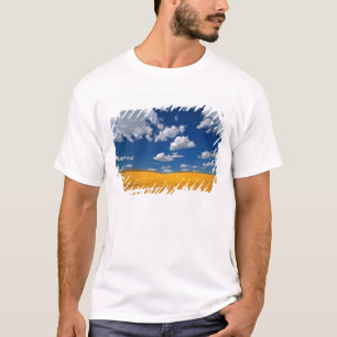 USA, Washington State, Colfax. Ripe barley meets T-Shirt