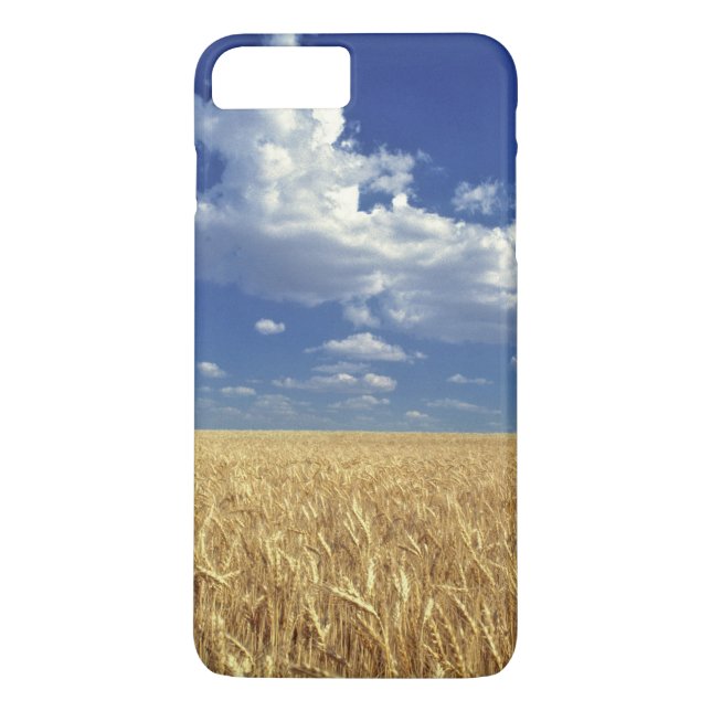 USA, Washington State, Colfax. Ripe wheat Case-Mate iPhone Case (Back)