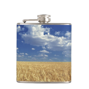 USA, Washington State, Colfax. Ripe wheat Hip Flask
