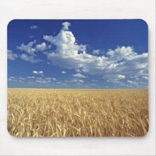 USA, Washington State, Colfax. Ripe wheat Mouse Pad