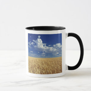 USA, Washington State, Colfax. Ripe wheat Mug