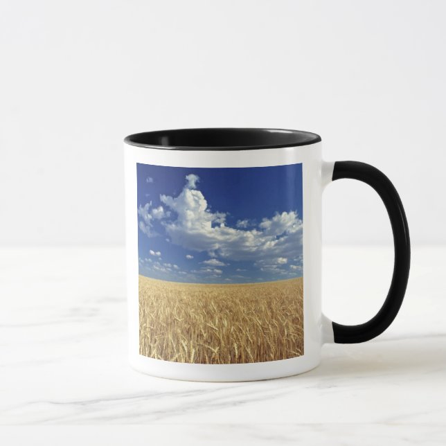 USA, Washington State, Colfax. Ripe wheat Mug (Right)