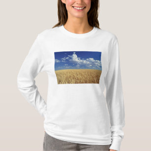 USA, Washington State, Colfax. Ripe wheat T-Shirt