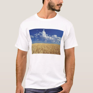 USA, Washington State, Colfax. Ripe wheat T-Shirt