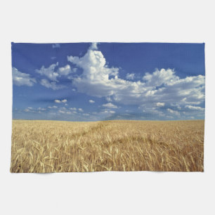 USA, Washington State, Colfax. Ripe wheat Tea Towel