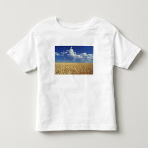 USA, Washington State, Colfax. Ripe wheat Toddler T-Shirt