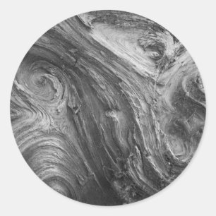 USA, Washington State. Douglass Fir Classic Round Sticker