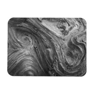 USA, Washington State. Douglass Fir Magnet