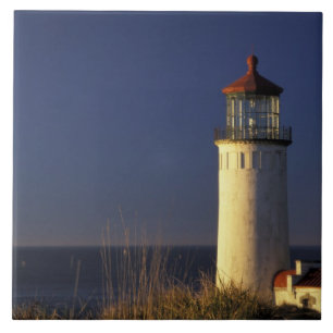 USA, Washington State, Fort Canby State Park. Ceramic Tile