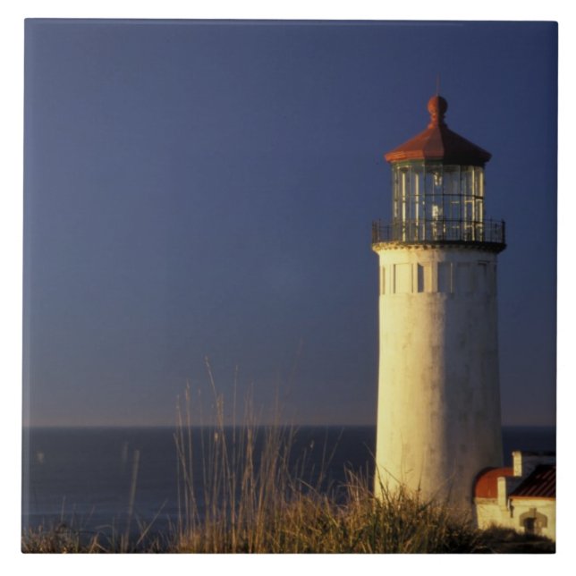 USA, Washington State, Fort Canby State Park. Ceramic Tile (Front)