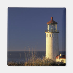USA, Washington State, Fort Canby State Park. Magnet