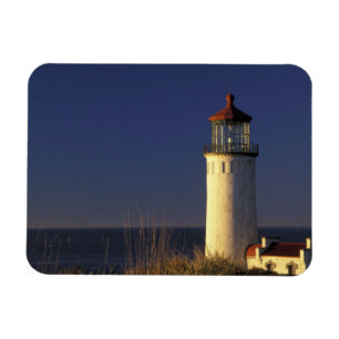 USA, Washington State, Fort Canby State Park. Magnet