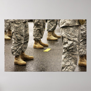 USA, Washington State, Issaquah, Salmon Day's Poster