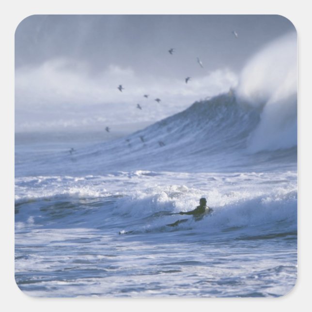 USA, Washington State, La Push. Man kayak Square Sticker (Front)