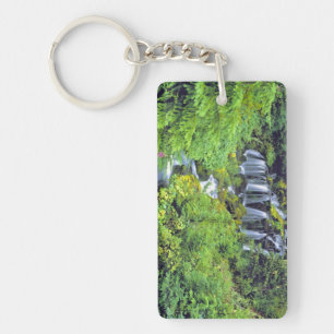 USA, Washington State, Mt Adams Wilderness. Twin Key Ring