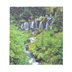 USA, Washington State, Mt Adams Wilderness. Twin Notepad