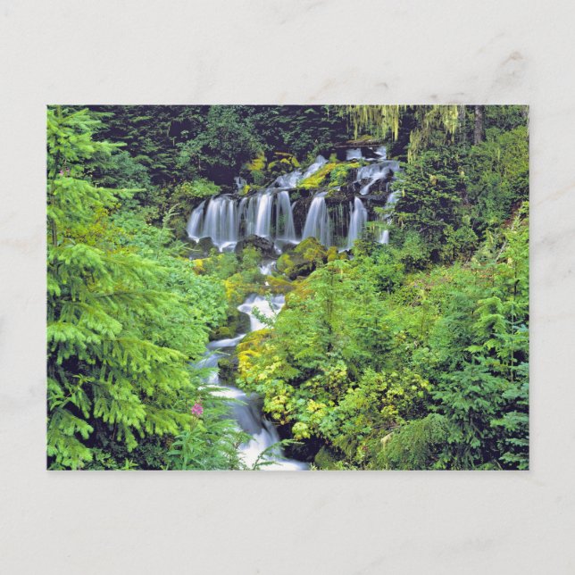 USA, Washington State, Mt Adams Wilderness. Twin Postcard (Front)