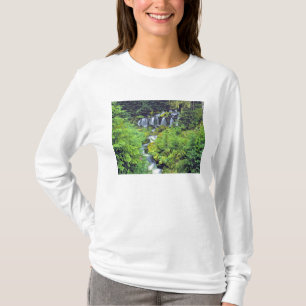 USA, Washington State, Mt Adams Wilderness. Twin T-Shirt