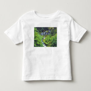 USA, Washington State, Mt Adams Wilderness. Twin Toddler T-Shirt