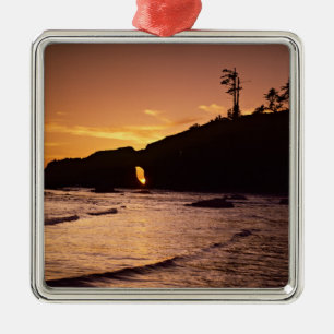 USA, Washington State, Olympic National Park. 2 Metal Tree Decoration