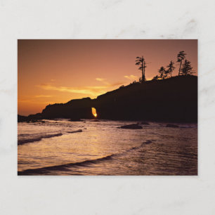 USA, Washington State, Olympic National Park. 2 Postcard