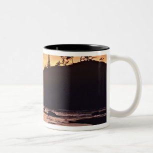 USA, Washington State, Olympic National Park. 3 Two-Tone Coffee Mug