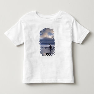 USA, Washington State, Olympic National Park. Toddler T-Shirt