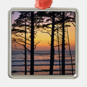 USA, Washington State, Olympic NP. Delicate Metal Ornament