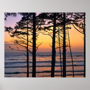 USA, Washington State, Olympic NP. Delicate Poster